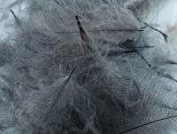 Feathers FMFly Goose CDC 1G - Dyed Dark Dun