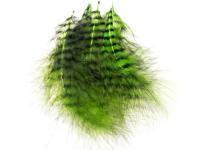 Feather Grizzly Marabou - Chartreuse/Black