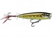 Rapala Skitter Pop Elite 9.5 cm 17g - Gilded Striped Grey Shiner