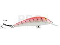 Lure Siek Roach PL7F-65