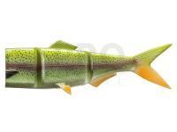 Lure Prorex Spare tails Hybrid Swimbait 25cm - rainbow trout