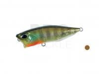 Lure DUO Realis Popper 64 F | 64mm 9g - CCC3158 Ghost Gill