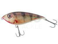 Hard Lure Hunter Dominator 100mm 25g F - RP