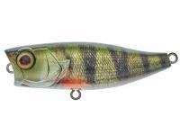 Lure Illex Chubby Popper 42 | 42mm 3.3g - RT Perch