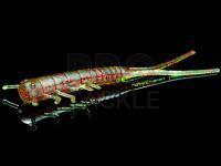 Soft Bait Lunker City Hellgie 3 inch - #144 Watermelon Red Flake