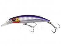 Sea lure Savage Gear Gravity Runner 10cm 37g Fast Sinking - Bloody Anchovy PHP