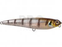 Lure Spro Ikiru Surf Dawq 115F | 11.5cm 24g - Buzzer