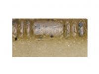 Soft bait Tiemco PDL Locoism Flexy Shad 3.5 inch | Shrimp Flavor - 225
