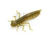 Soft lures Fishup Dragonfly 1.7 - 074 Green Pumpkin Seed