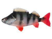 Soft Baits Fox Rage Ultra Natural Fillets 8cm - Perch