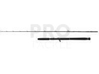 Rod Savage Gear Defiance SG2 Jigging Cast 1.80m max 250g