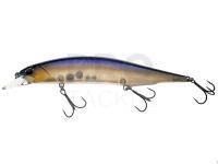 Lure DUO Realis Jerkbait 120SP - CCC3172 Threadfin Shad