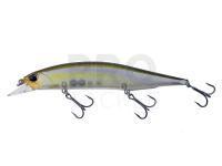 Lure DUO Realis Jerkbait 120SP - CCC3176 Morning Dawn