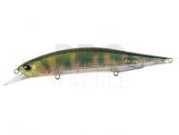 Lure DUO Realis Jerkbait 120SP - DTA3345 AM Hasu