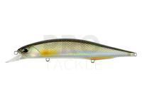 Lure DUO Realis Jerkbait 120SP Pike Limited - ANA3261 Silver Roach