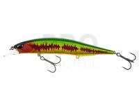 Lure DUO Realis Jerkbait 120SP Pike Limited - CCC3175 Ara Macao