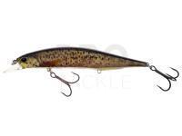 Lure DUO Realis Jerkbait 120SP Pike Limited - CCC3815 Bown Trout ND
