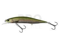 Lure DUO Realis Jerkbait 120SP Pike Limited - CCC3836 Rainbow Trout ND