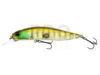 Realis Rozante 77SP - CCC3158 Ghost Gill