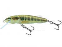 Hard Lure Salmo Minnow M6S 6cm - Minnow