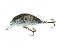 Lure Dorado Scout ST-4 Floating CG