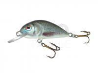 Lure Dorado Scout ST-4 Floating RR