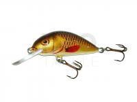 Lure Dorado Scout ST-6 Floating BR