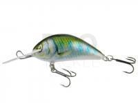 Lure Kenart Shark 5cm GG