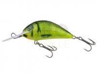 Lure Kenart Shark 5cm NRX