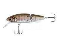 Hard Lure Shimano Cardiff Armajoint 60SS 60mm 5.4g - 001 Japan