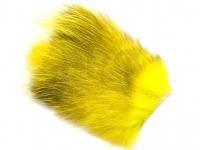 FutureFly American Opossum - Neon Yellow