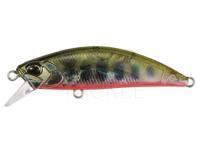 Lure DUO Spearhead Ryuki 50S Awabi - DDH4038 Yamame RB AM