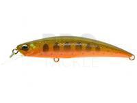 Lure DUO Spearhead Ryuki 70S - ANA4027 Arctic Char II