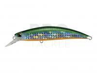 Lure DUO Spearhead Ryuki 80S SW - AQA0283 Tiranga OB