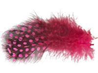 Spirit River UV2 Large Eyed Guinea - Hot Pink