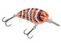 Hard Lure Spro Little John MD 60 6cm 11.6g - Milk Snake