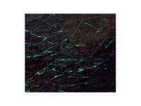 Starlite Dubbing - Dark Green