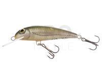 Lure Wob-Art Strzebla (Common minnow) 6cm 4g MF DR - 03