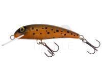 Lure Wob-Art Strzebla (Common minnow) 6cm 4g MF DR - 32