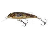 Lure Wob-Art Strzebla (Common minnow) 6cm 4g MF DR - 39