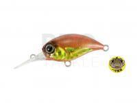 Hard Lure Duo Tetra Works Kurakura 30mm 2.5g | 1-1/8in 1/8oz - GHI0084 Gold Worm