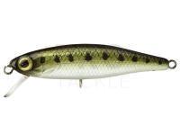 Lure Illex Tiny Fry 38 SP - Goujon