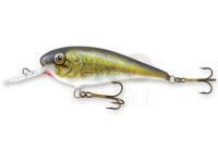 Lure Goldy Troter 7cm - BS