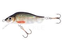 Hard bait Jaxon Valader 7cm F - A