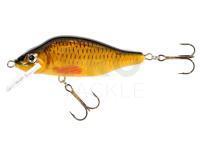 Hard bait Jaxon Valader 9cm F Color C