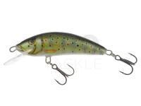 Lure Kenart Winner 5,5cm TR