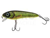 Hard Lure Abu Garcia Svartzonker McCelly 170mm 90g - Real Hot Pike