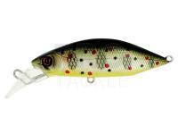 Hard Lure Adam's Adam's Hump Minnow 55 S | 55mm 6.6g - Truitelle