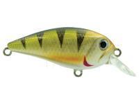 Hard Lure Adam's Crank 50 SR | 50mm 7.50g - Perch