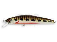 Hard Lure Adam's Minnow 65 S | 65mm 4.4g - Vairon F